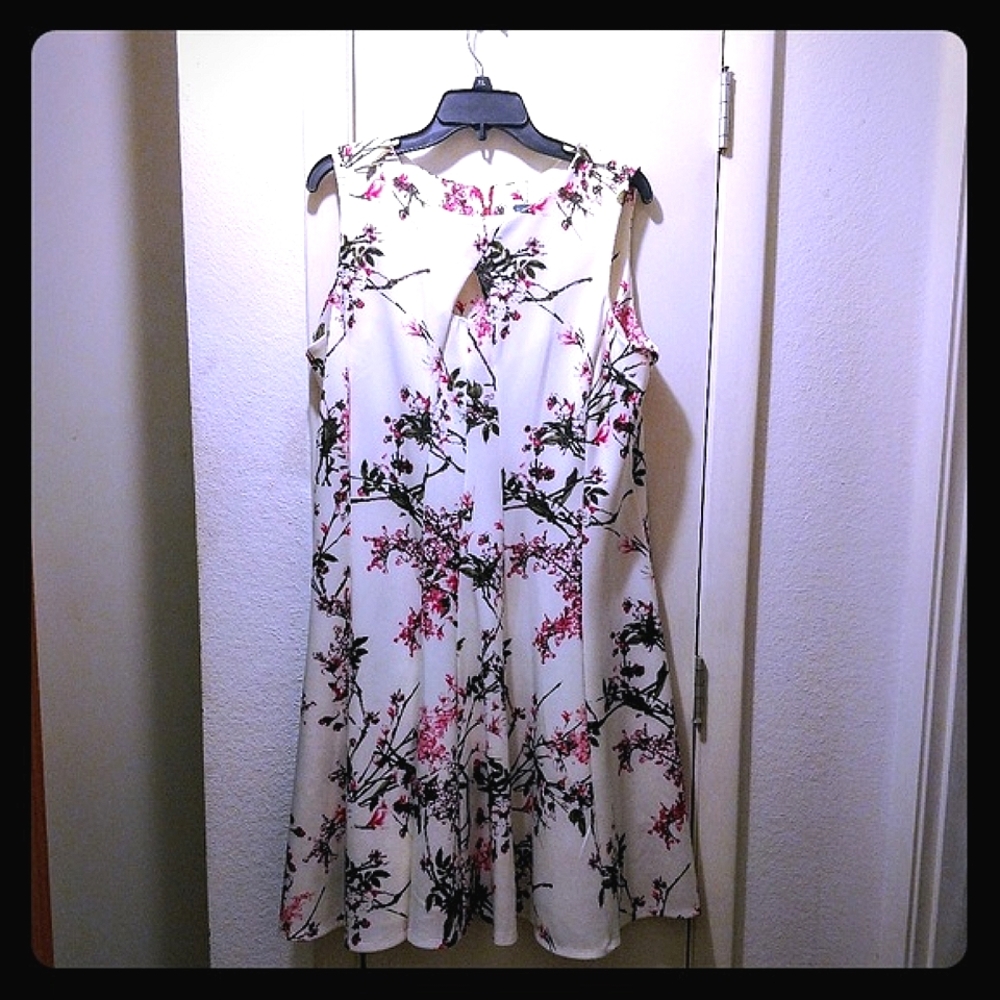Gabby Skye  Floral dress